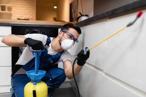 Best Local Pest Control Services  in Sweetwater, FL
