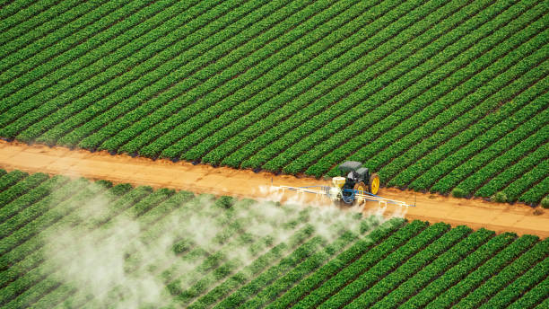 Best Ant Control Services  in Sweetwater, FL